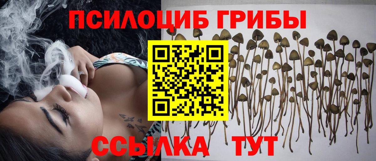 Псилоцибиновые грибы Magic Shrooms Минеральные Воды