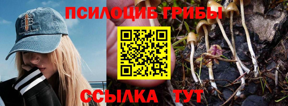 Минеральные Воды  Галлюциногенные грибы Magic Shrooms  Вход с VPN  Галлюциногенные грибы прущие грибы 